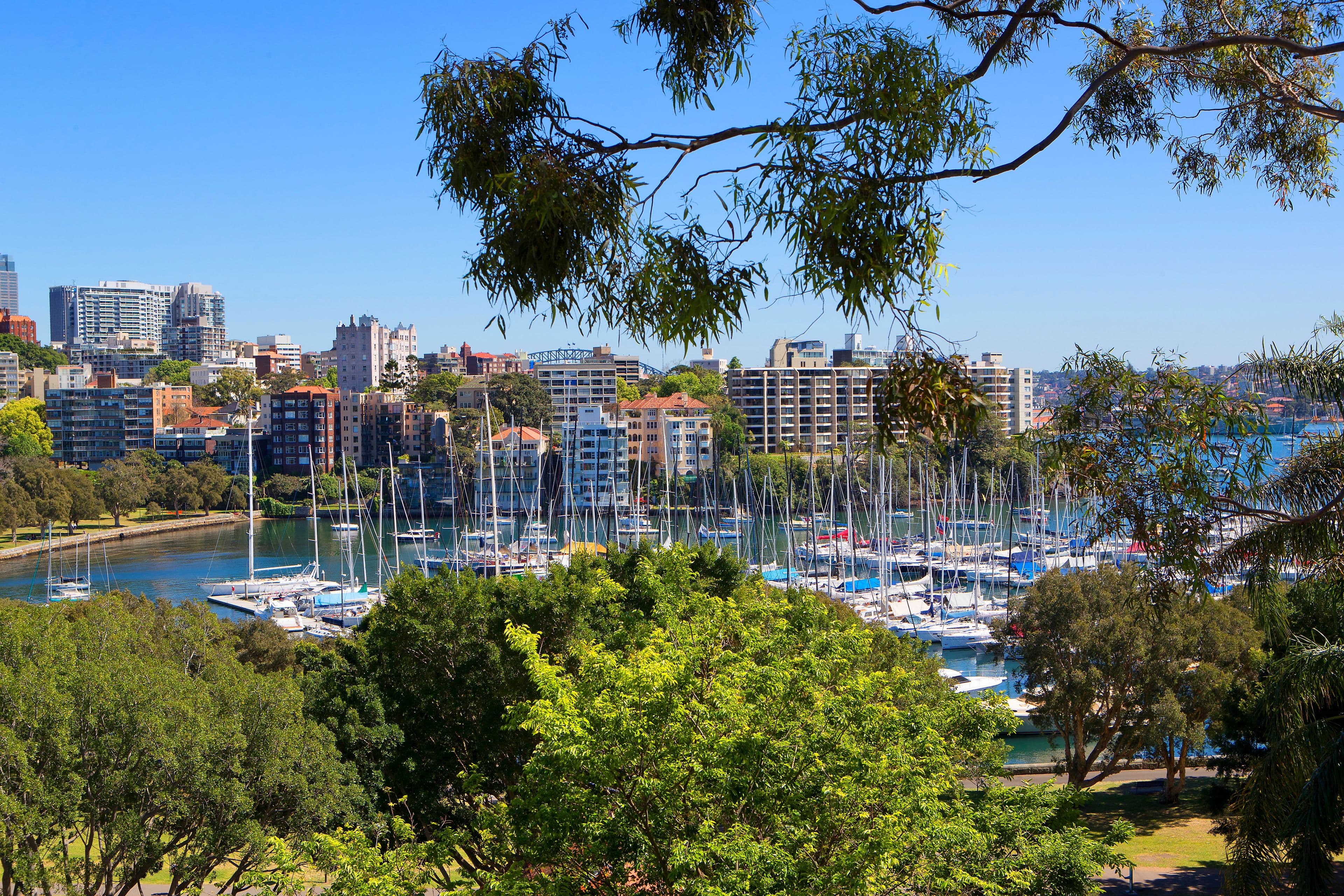 32 Mona Road, Darling Point - Thumbnail 2