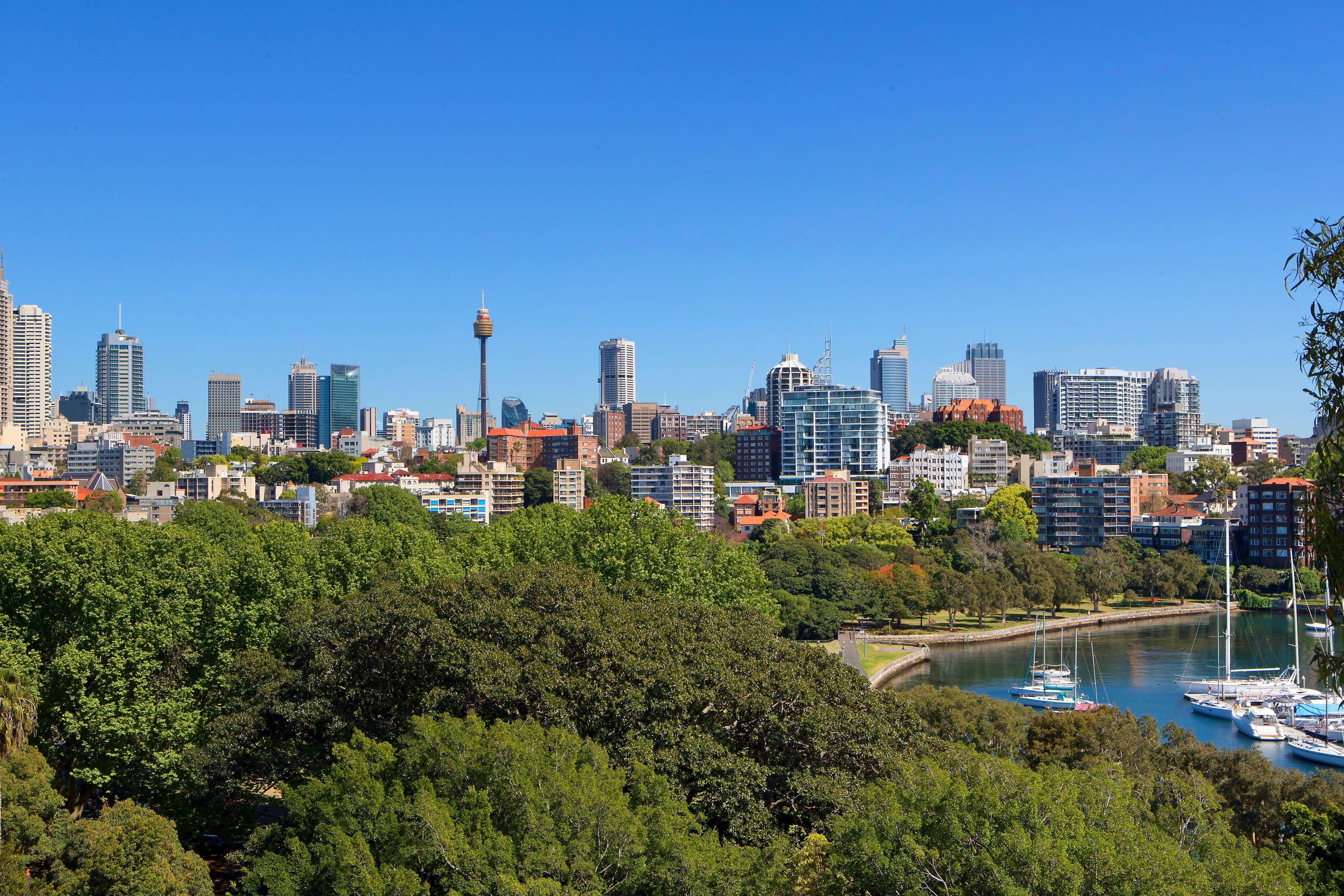 32 Mona Road, Darling Point - Thumbnail 7