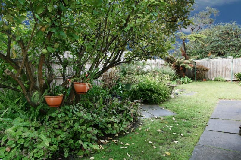 28 Oliver Street, RINGWOOD VIC 3134, Ringwood - Thumbnail 7