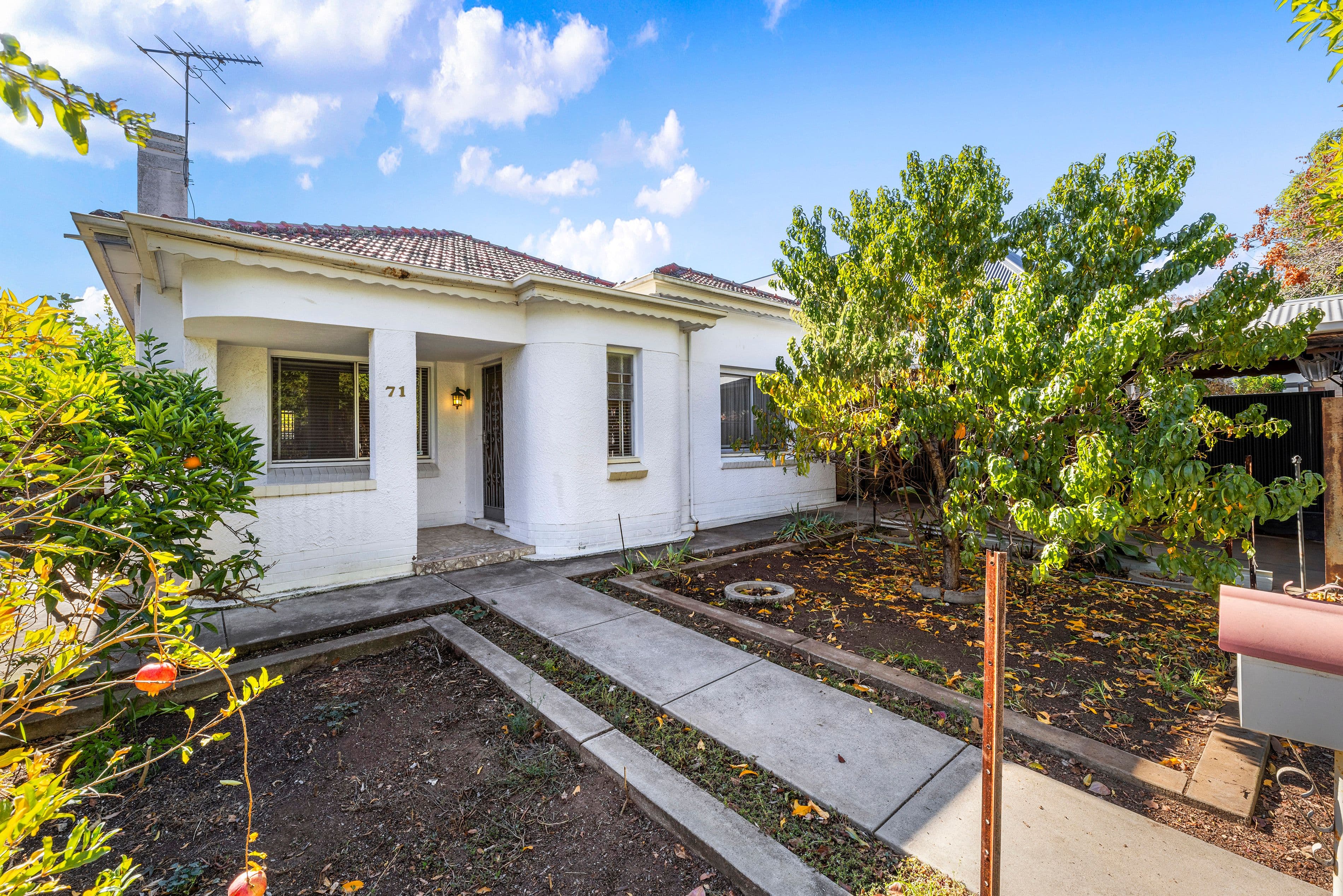 71 William Street, Norwood SA 5067, Norwood - Thumbnail 2