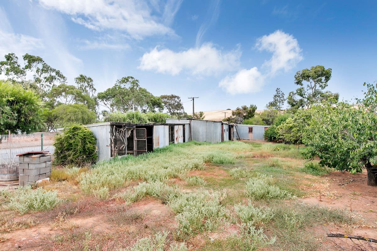 16 Newark Str, Saddleworth SA 5413, Saddleworth - Thumbnail 8