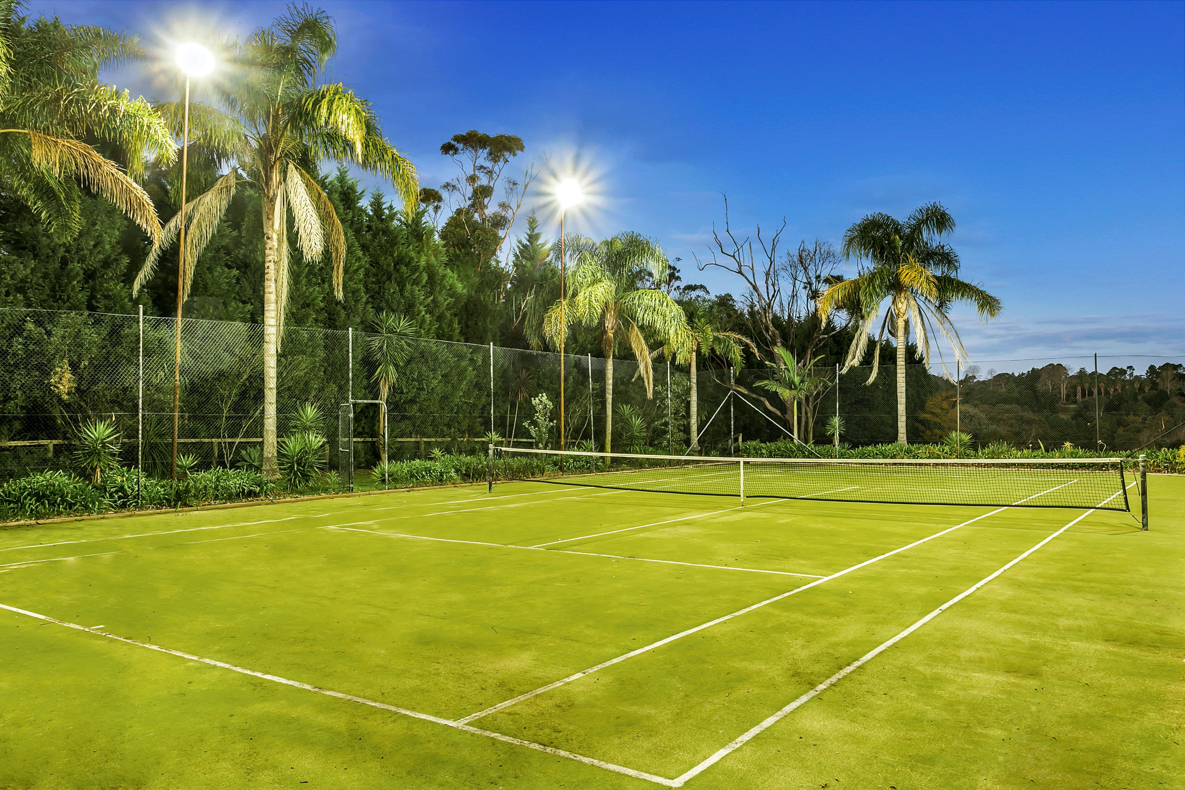 42 Tom Packer Drive, Athelstone SA 5076, Athelstone - Thumbnail 5