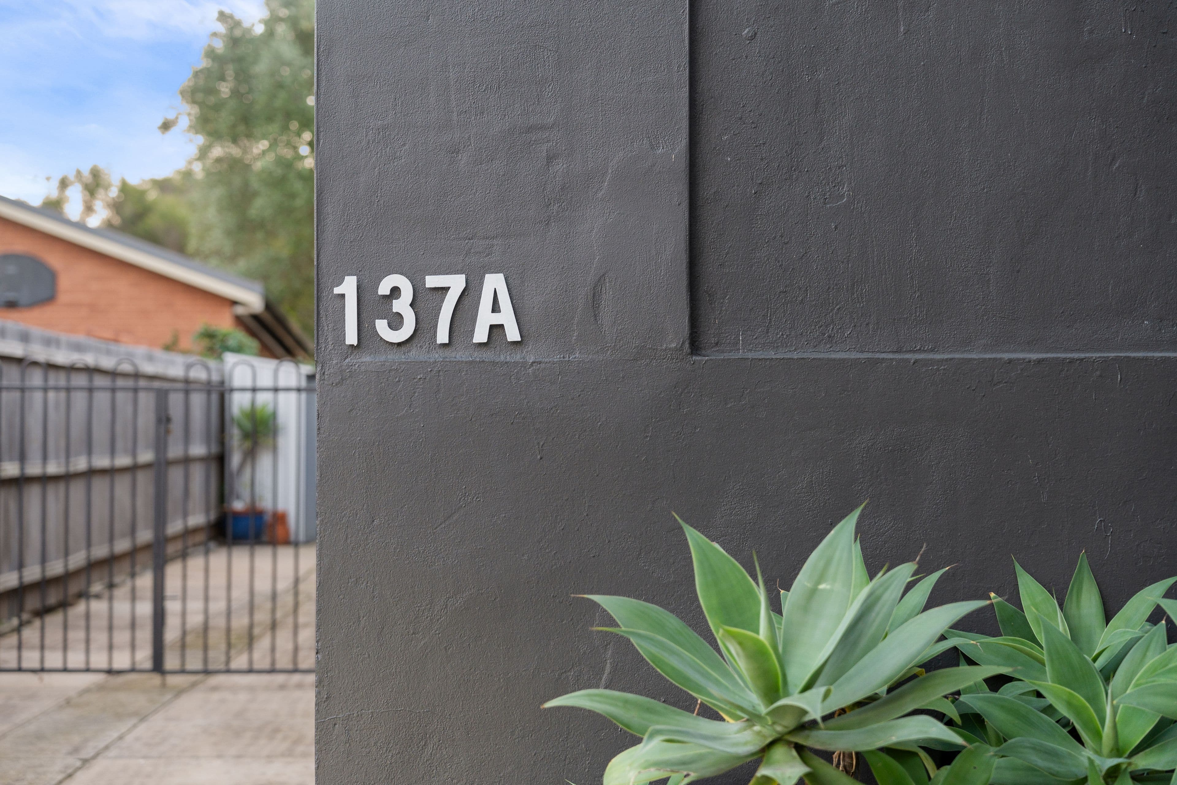 137A Bexley Road, Earlwood NSW 2206, Earlwood - Thumbnail 2