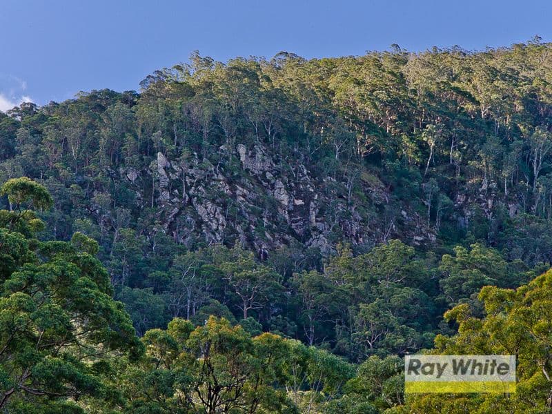 Lot 34 "The Bluff" Masseys Creek Court, Cedar Creek QLD 4520, Cedar Creek - Thumbnail 5