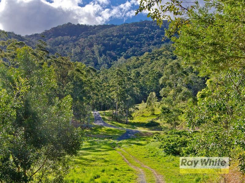 Lot 34 "The Bluff" Masseys Creek Court, Cedar Creek QLD 4520, Cedar Creek - Thumbnail 6