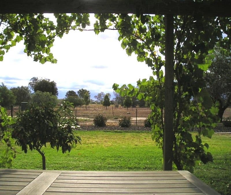 "Riverlands" Lot 2 West Wyalong Road, FORBES NSW 2871, Forbes - Image 1