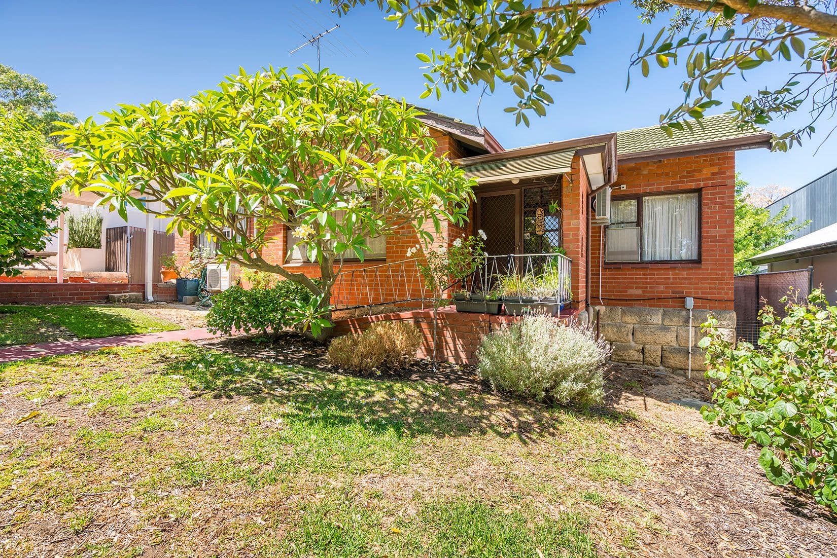3 Greenham Street, Cottesloe WA 6011, Cottesloe - Thumbnail 4