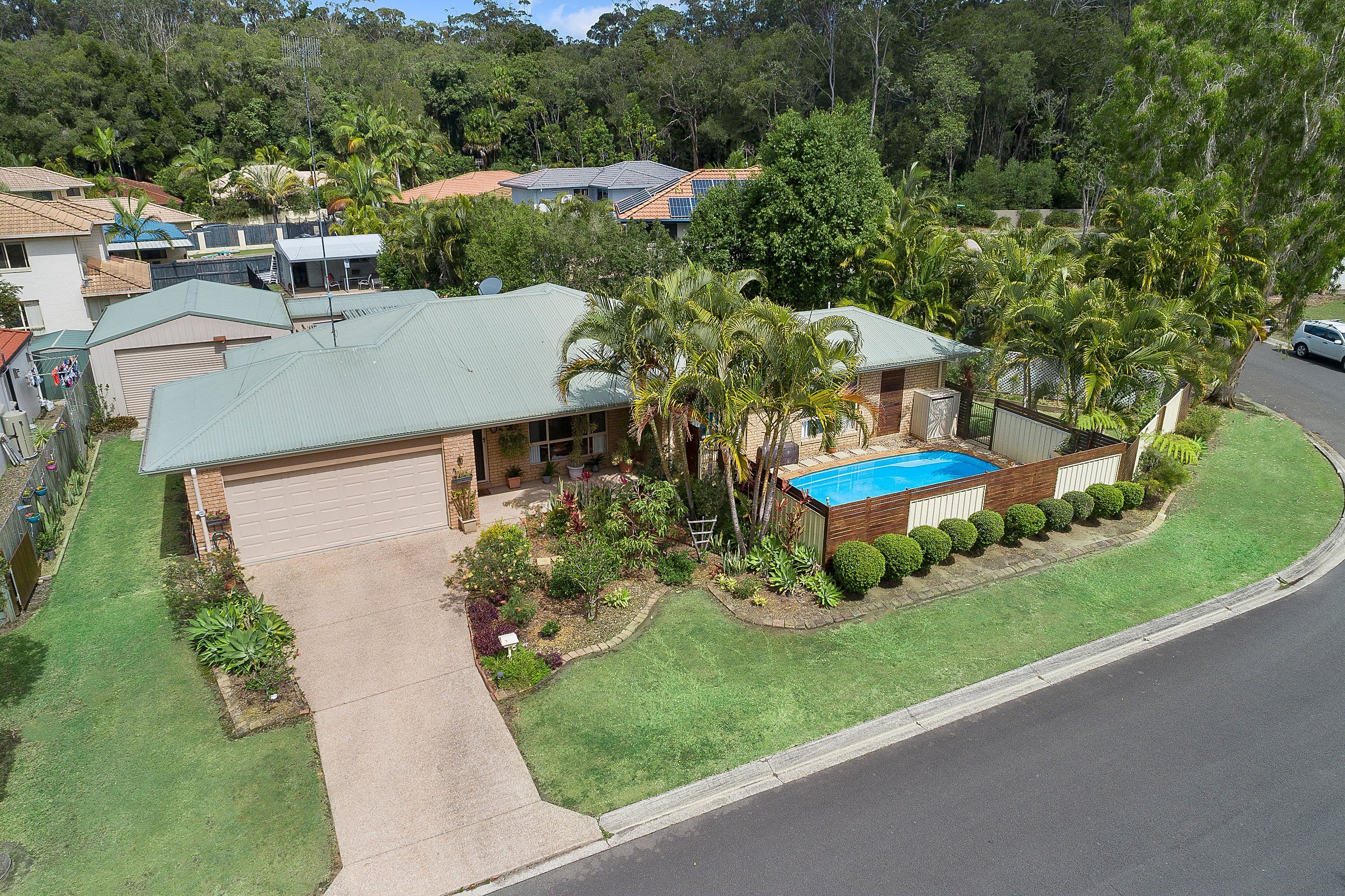 7 Daintree Way, Tewantin QLD 4565, Tewantin - Thumbnail 2