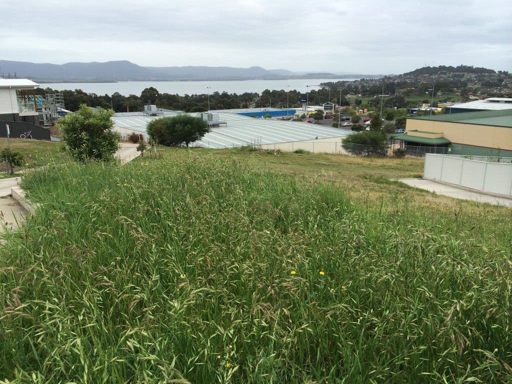 18b Falcon Street, Shellharbour City Centre NSW 2529, Shellharbour City Centre - Thumbnail 5