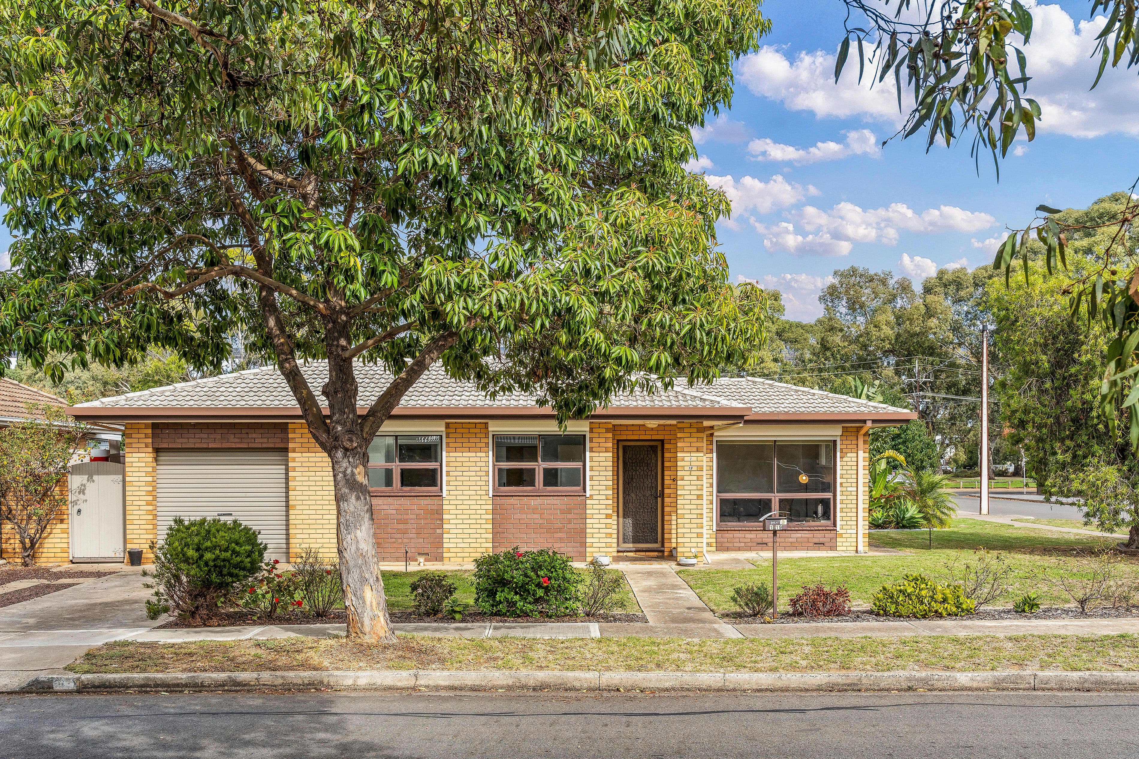 19 Nickels Avenue, Park Holme SA 5043, Park Holme - Image 1