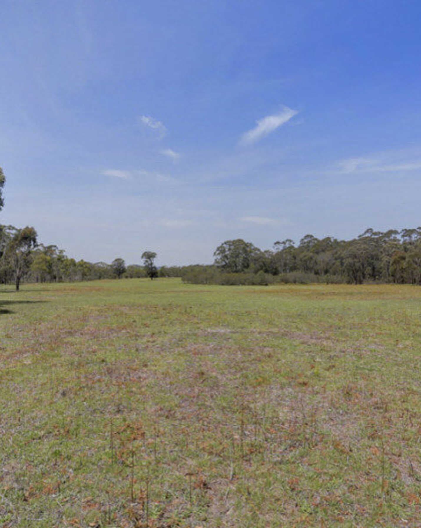 Lot 6 'Wanganderry East' Wombeyan Caves Road High Range, Range - Thumbnail 3