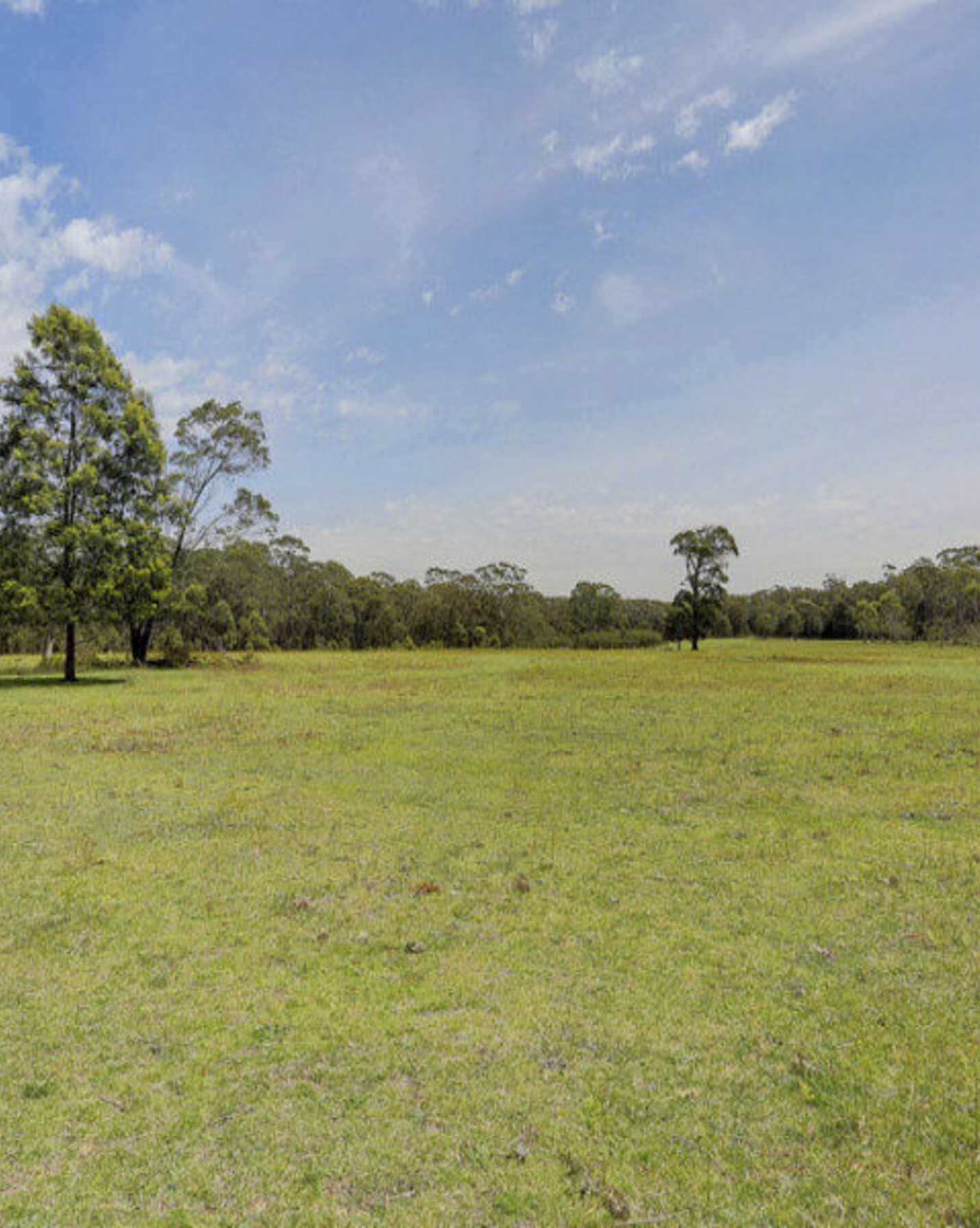 Lot 6 'Wanganderry East' Wombeyan Caves Road High Range, Range - Thumbnail 4