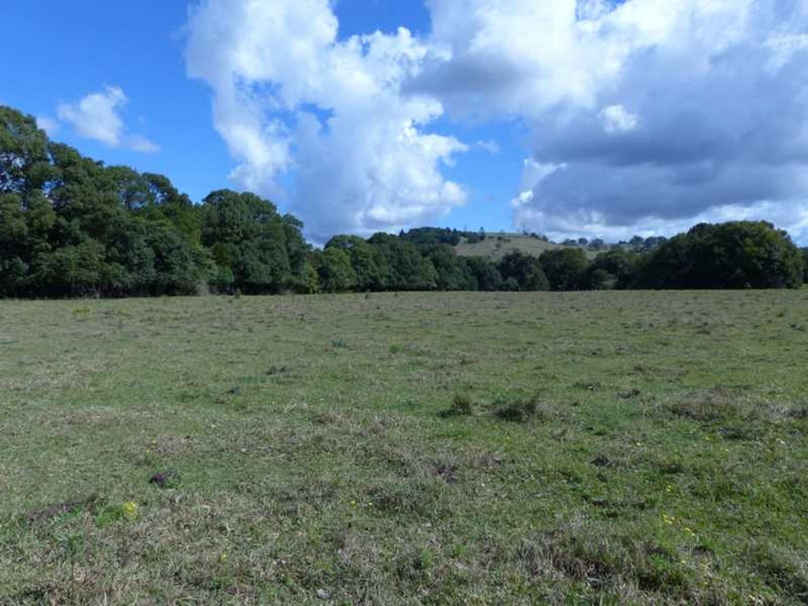 167 Lockton Road, Numulgi - Thumbnail 6