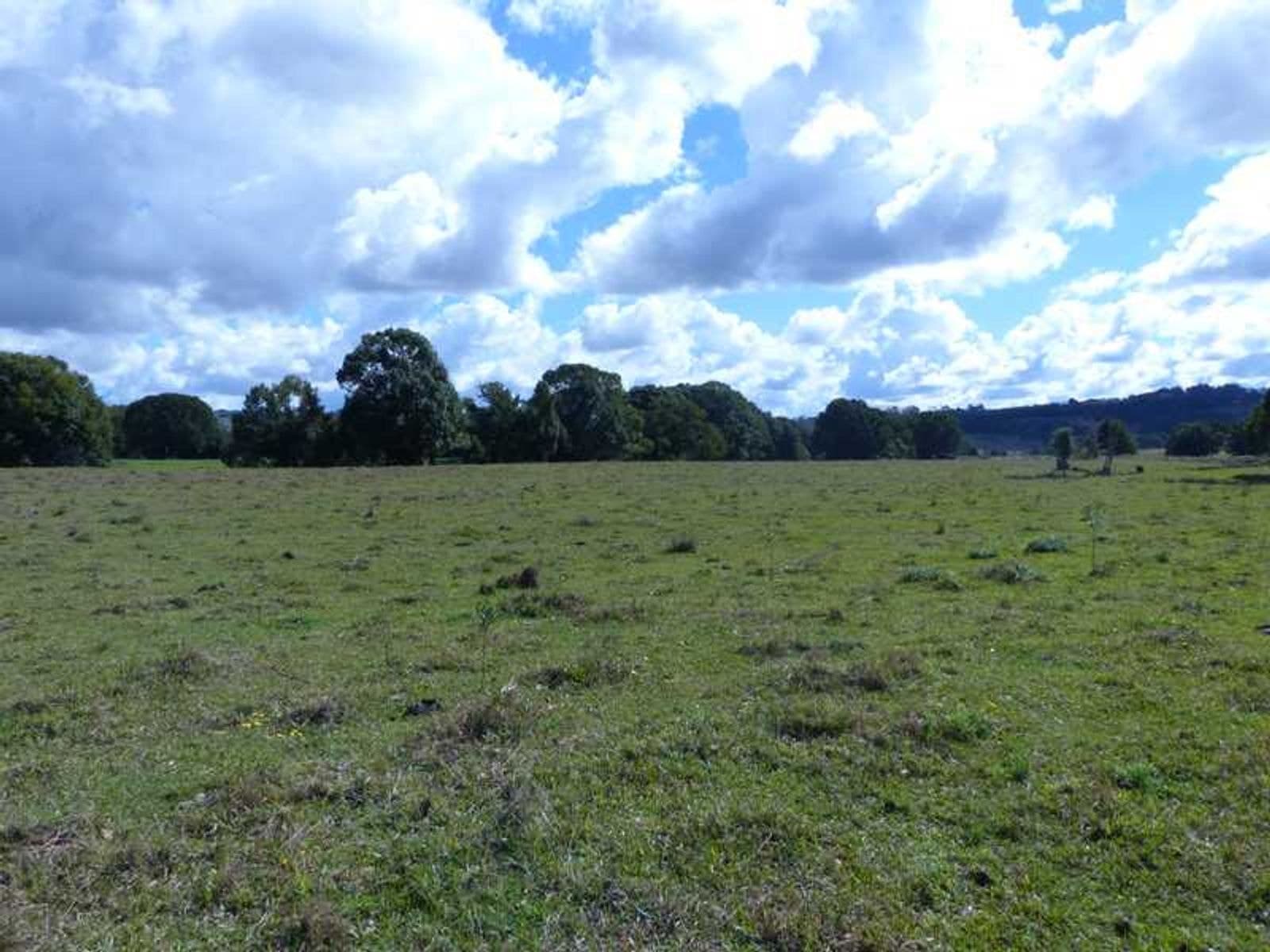167 Lockton Road, Numulgi - Thumbnail 7