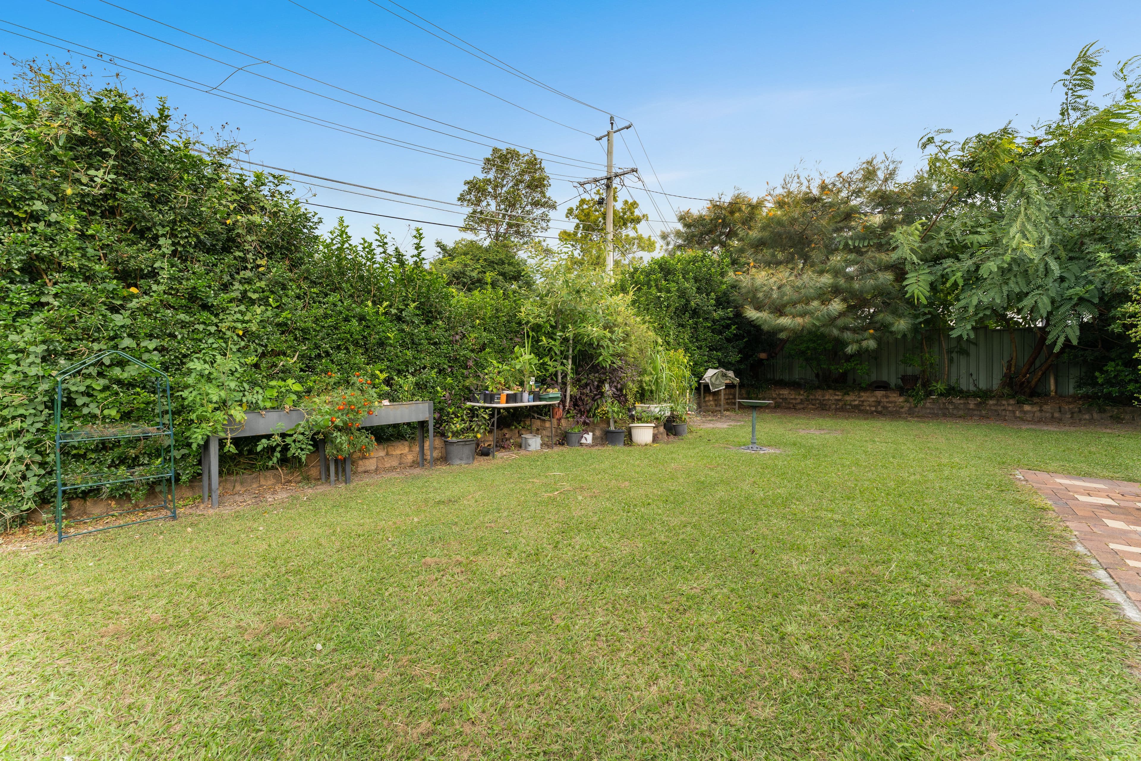 3 Richards Street, Loganlea QLD 4131, Loganlea - Thumbnail 6