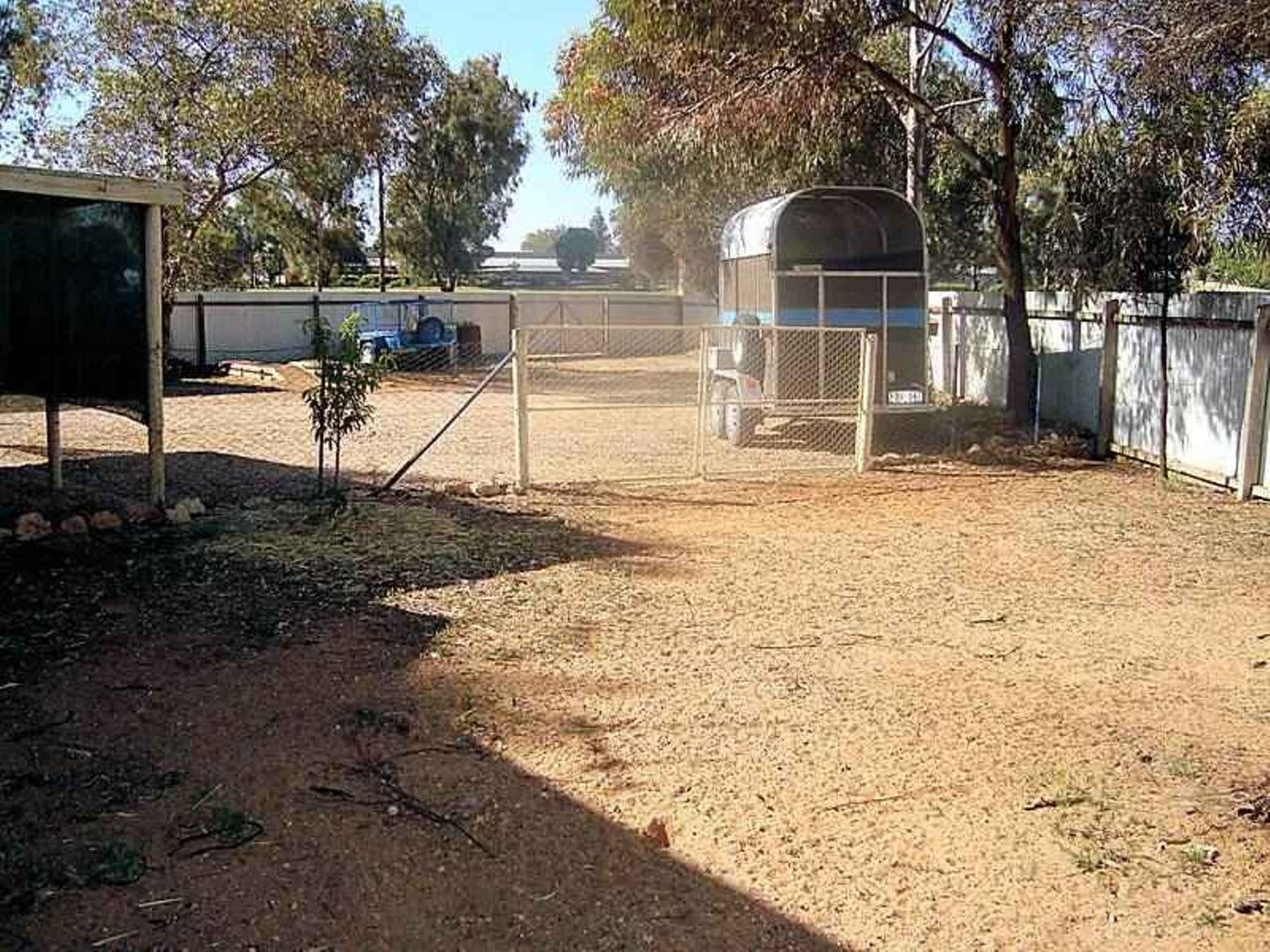 56 Fitzroy Avenue, Red Cliffs, VIC 3496, Red Cliffs - Thumbnail 3