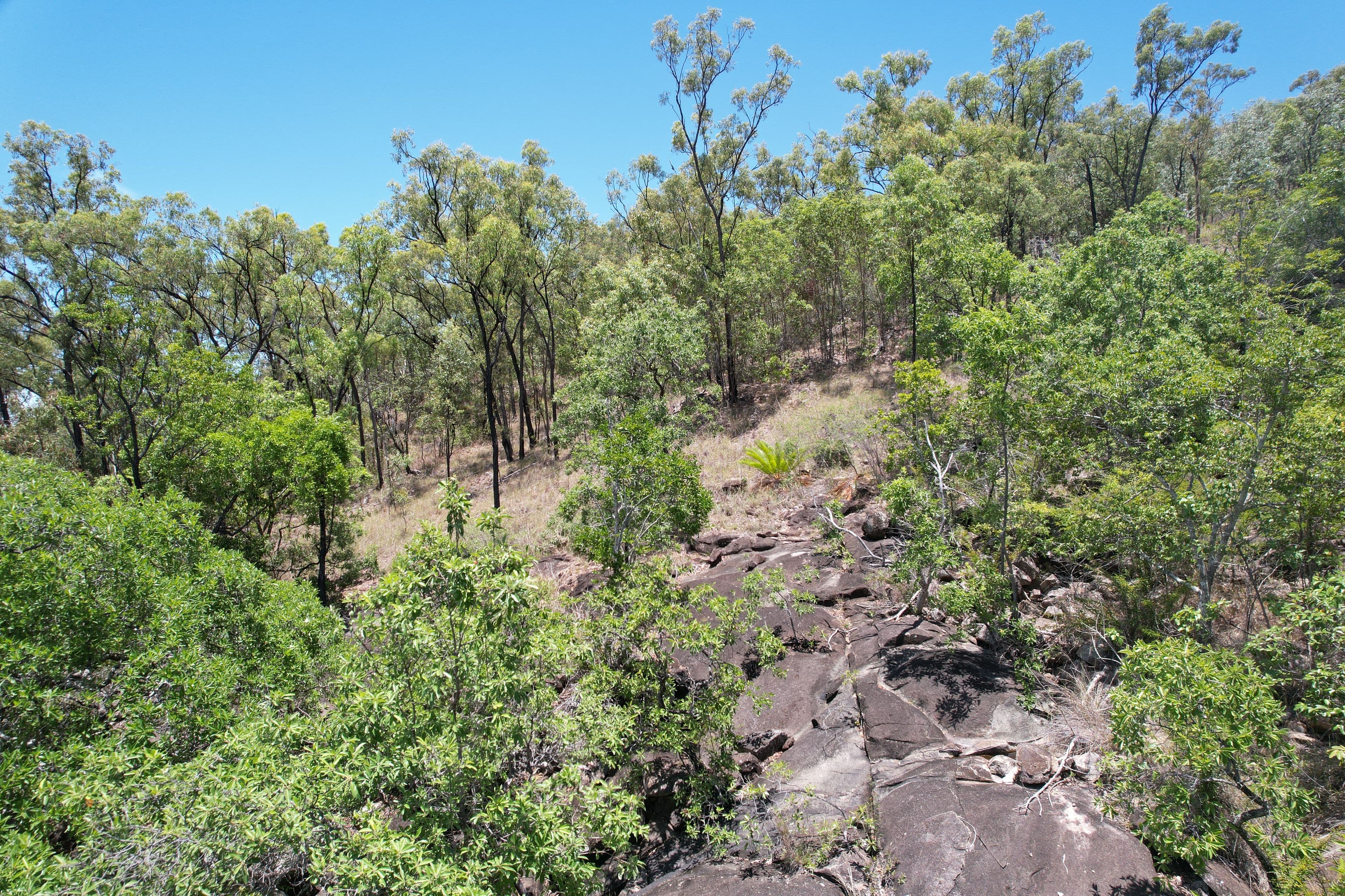 84249 Bruce Highway, Carmila QLD 4739, Carmila - Thumbnail 4