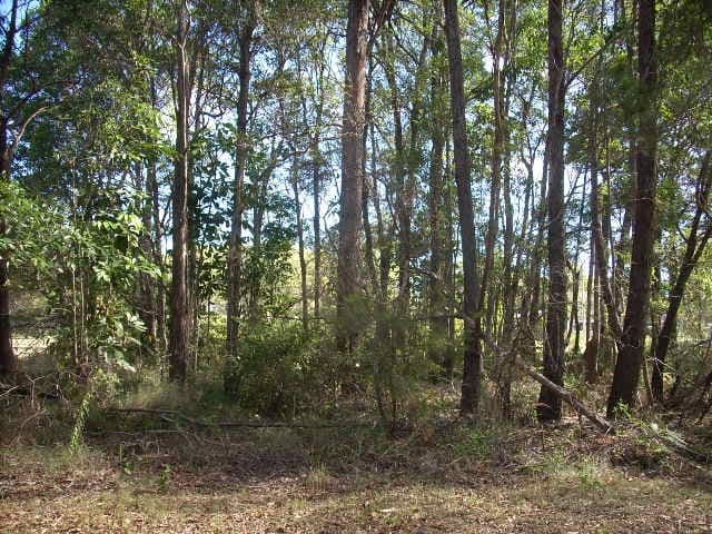 2 Tropic Drive, Russell Island QLD 4184, Russell Island - Thumbnail 2