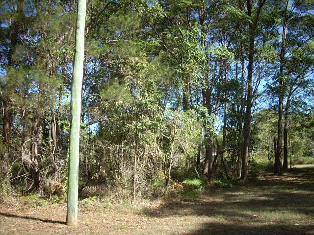 2 Tropic Drive, Russell Island QLD 4184, Russell Island - Thumbnail 3