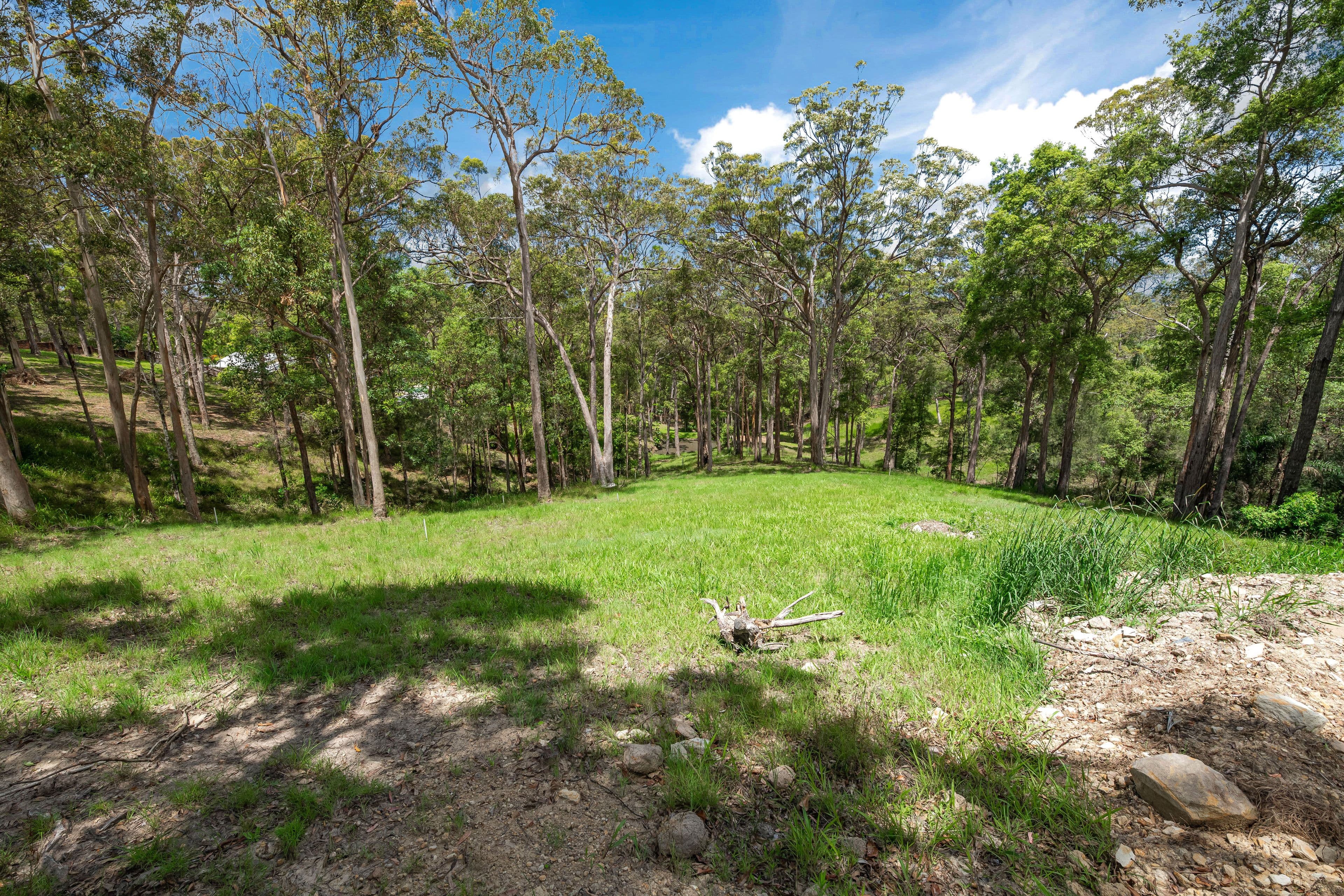 30 Waterloo Court, Tanawha QLD 4556, Tanawha - Thumbnail 2