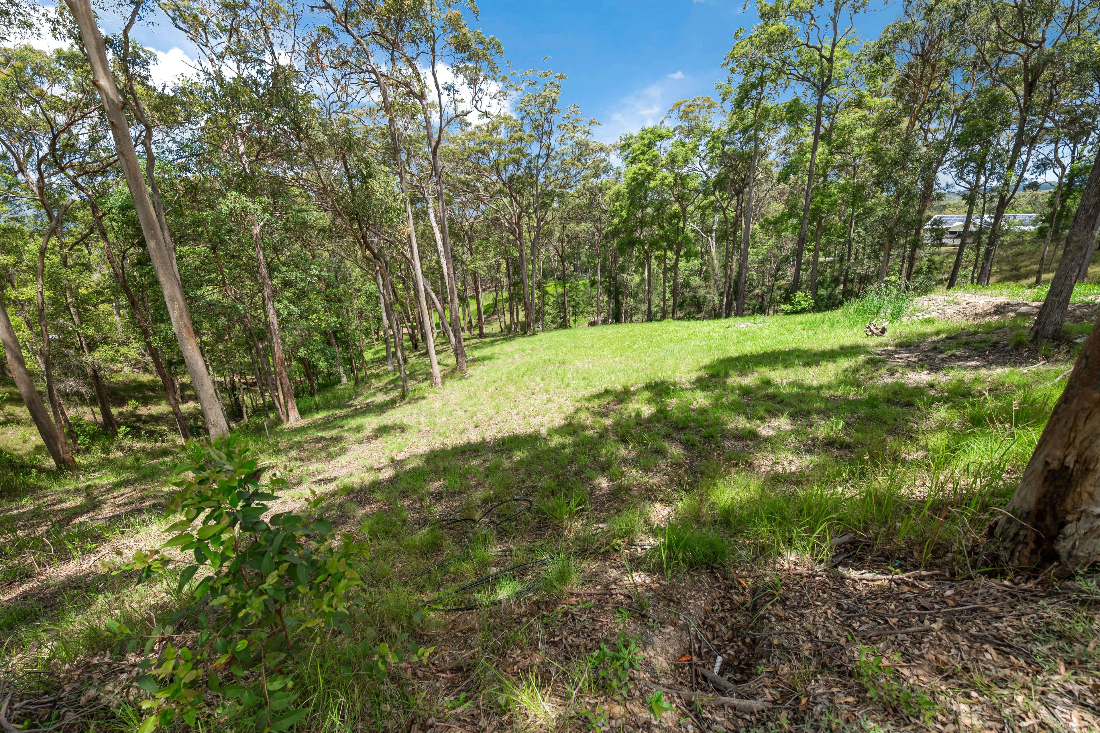 30 Waterloo Court, Tanawha QLD 4556, Tanawha - Thumbnail 3