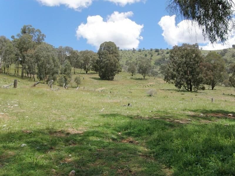 25 Harrington Street SEPARATION CREEK VIC, Separation Creek - Thumbnail 4