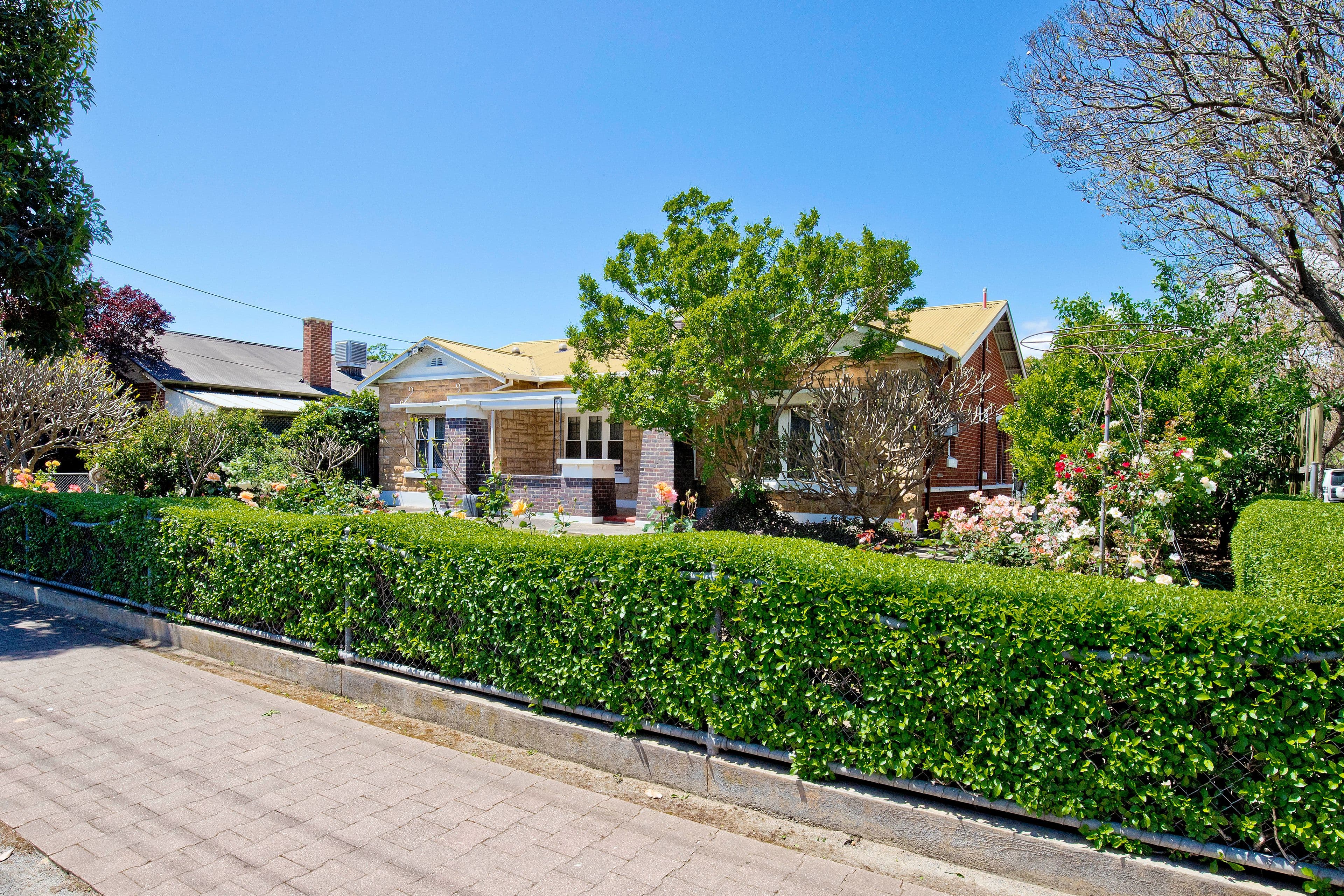 7 East Avenue, Millswood SA 5034, Millswood - Thumbnail 4