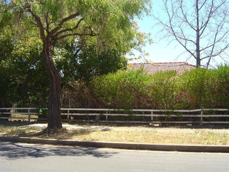 54 Barton Street, BLAIR ATHOL SA 5084, Blair Athol - Thumbnail 3