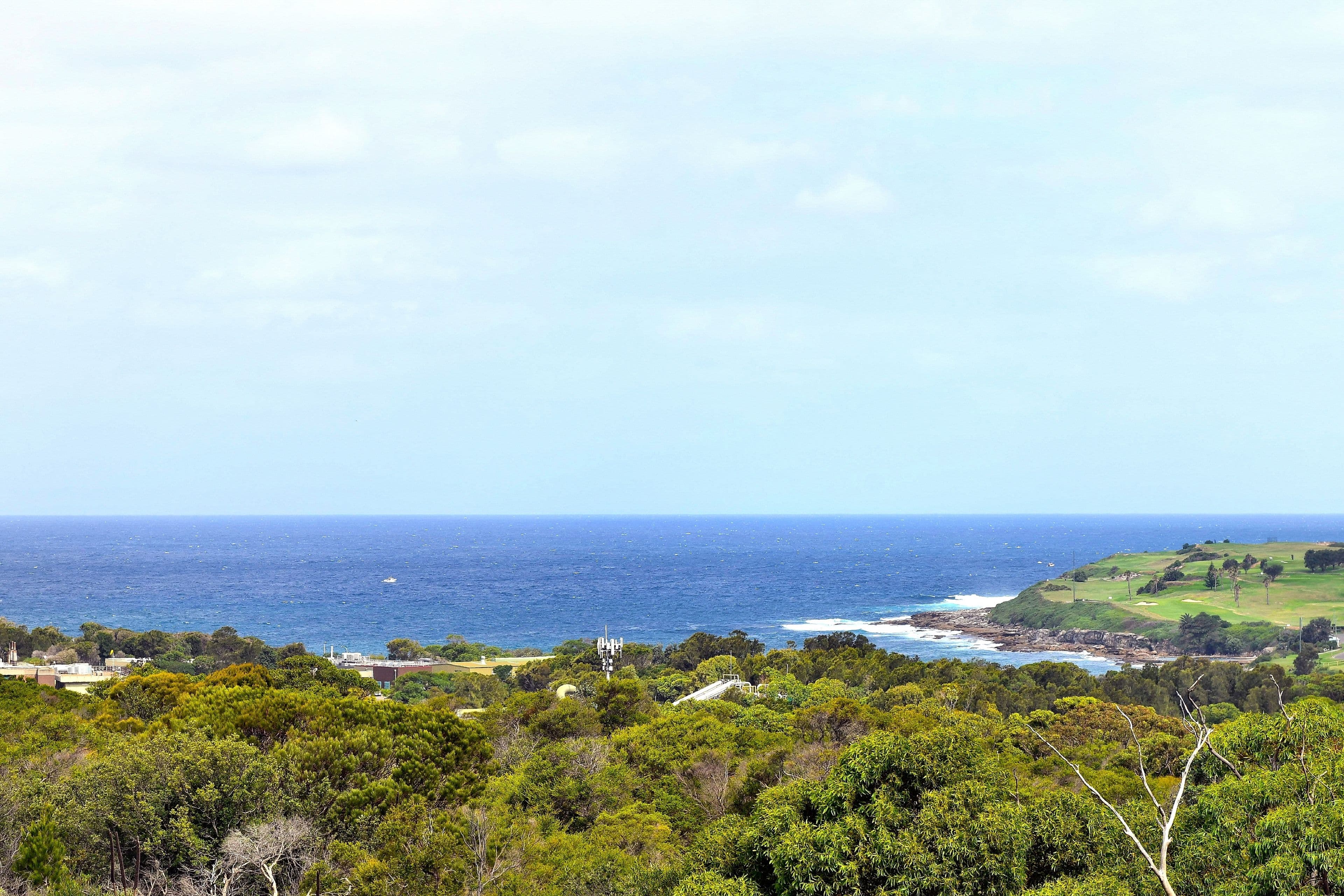 91 Broome Street, Maroubra NSW 2035, Maroubra - Thumbnail 5