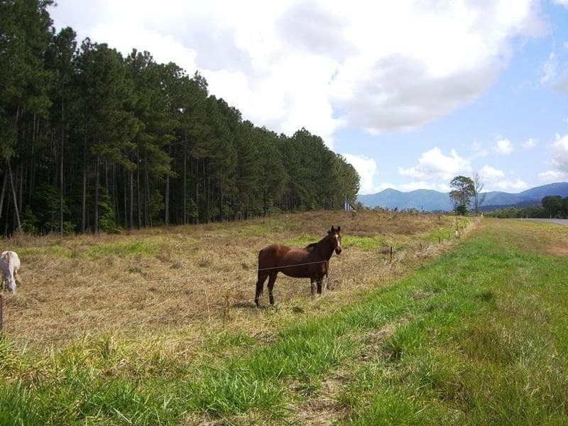 212 Euluma Creek Road, Julatten QLD 4871, Julatten - Image 1
