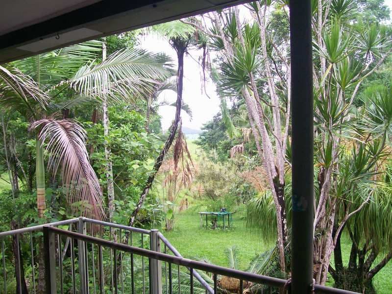 2085 Palmerston Highway, East Palmerston QLD 4860, East Palmerston - Thumbnail 8