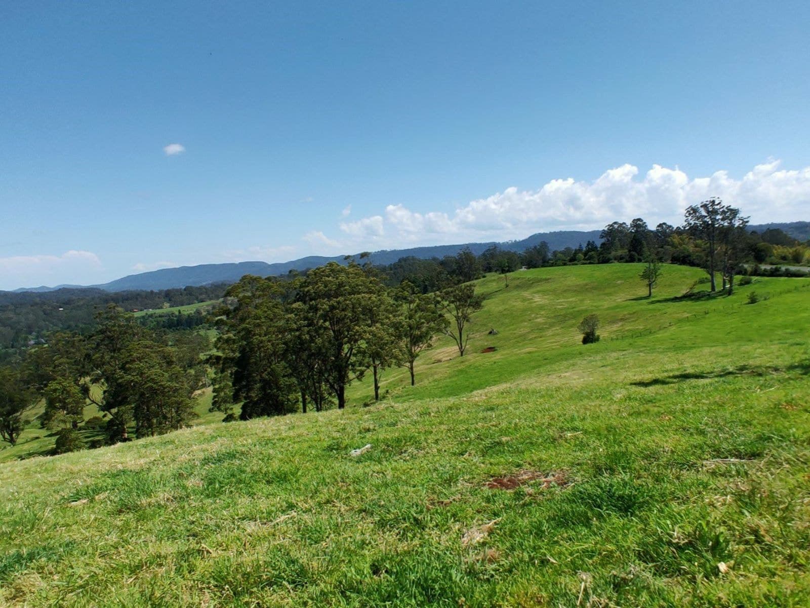 4743 Kyogle Road, Wadeville - Thumbnail 4