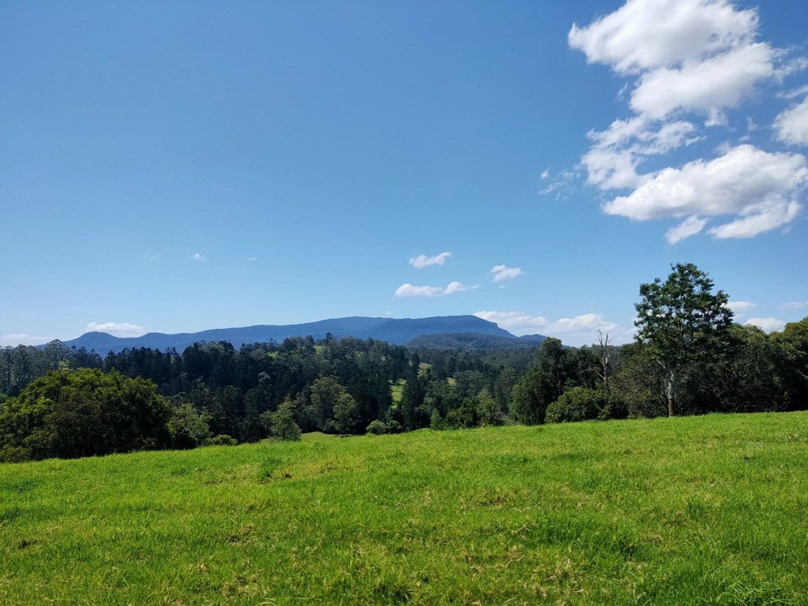 4743 Kyogle Road, Wadeville - Thumbnail 5