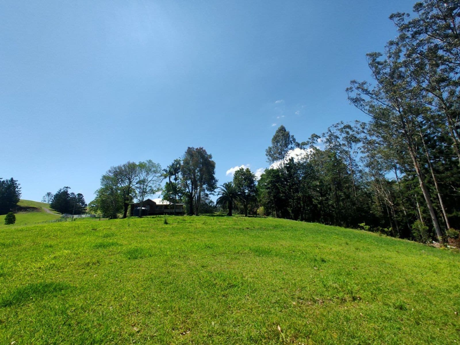 4743 Kyogle Road, Wadeville - Thumbnail 6