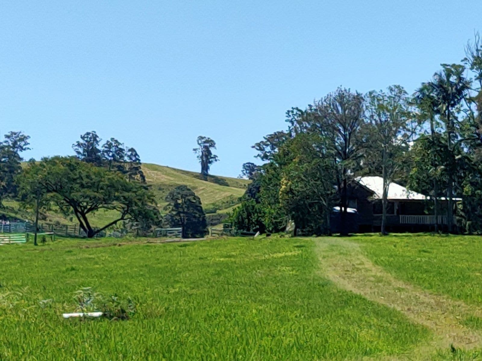 4743 Kyogle Road, Wadeville - Thumbnail 7