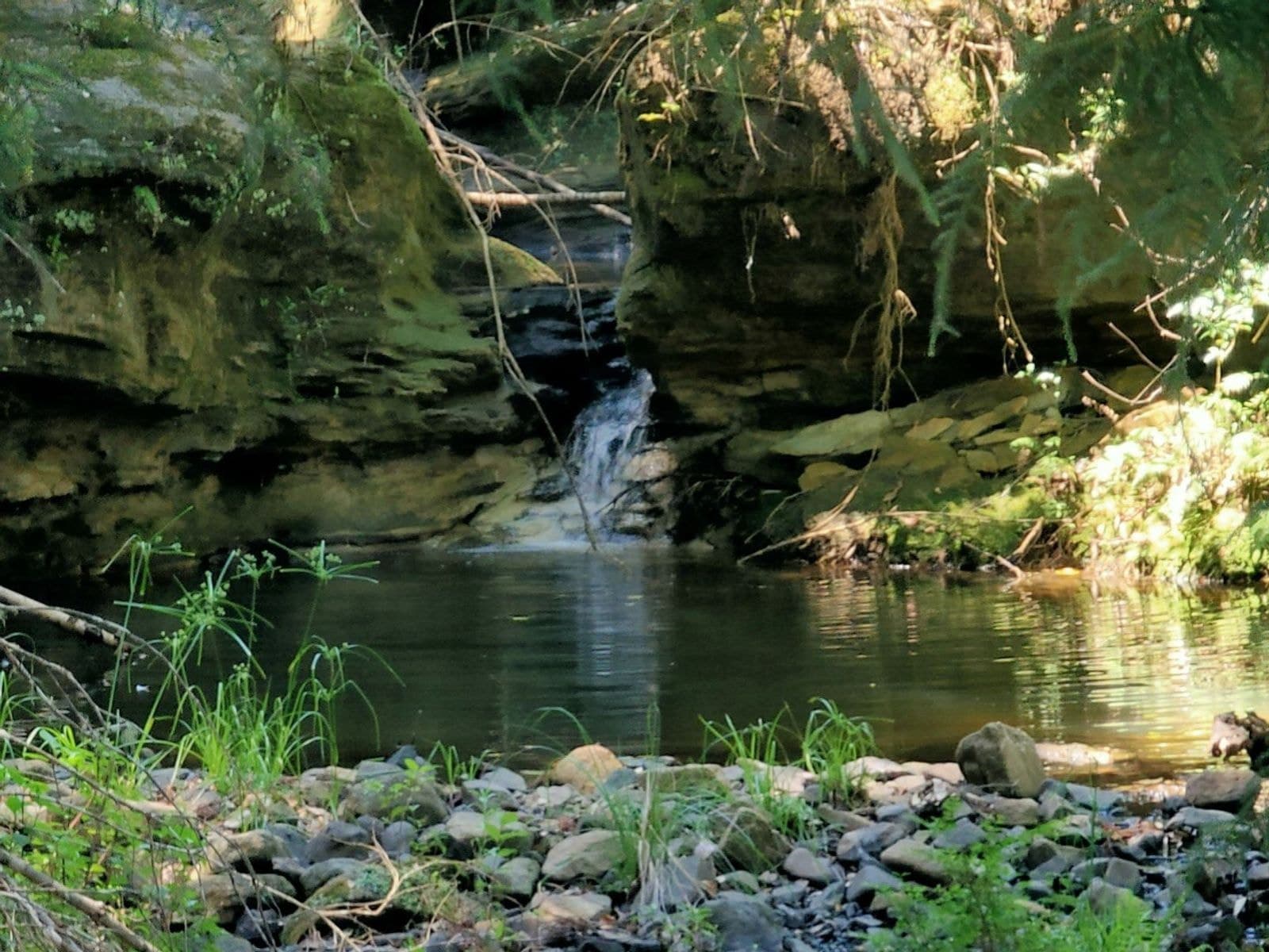 4743 Kyogle Road, Wadeville - Thumbnail 8