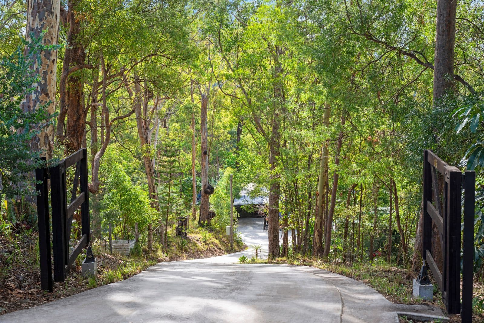 146 Nancol Drive, Tallebudgera Valley QLD 4228, Tallebudgera Valley - Thumbnail 2