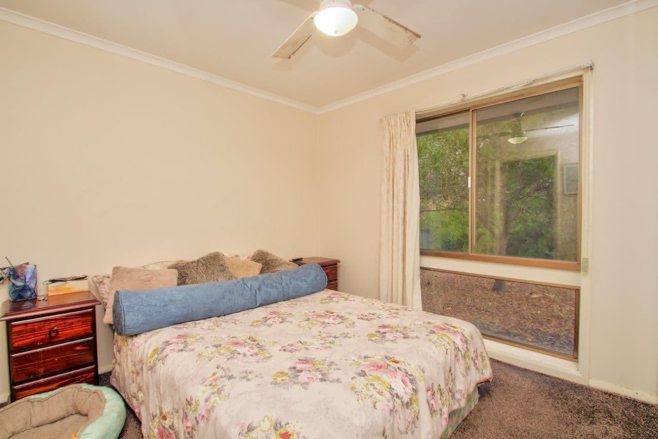 56 Barinya Street, Barooga NSW 3644, Barooga - Thumbnail 5