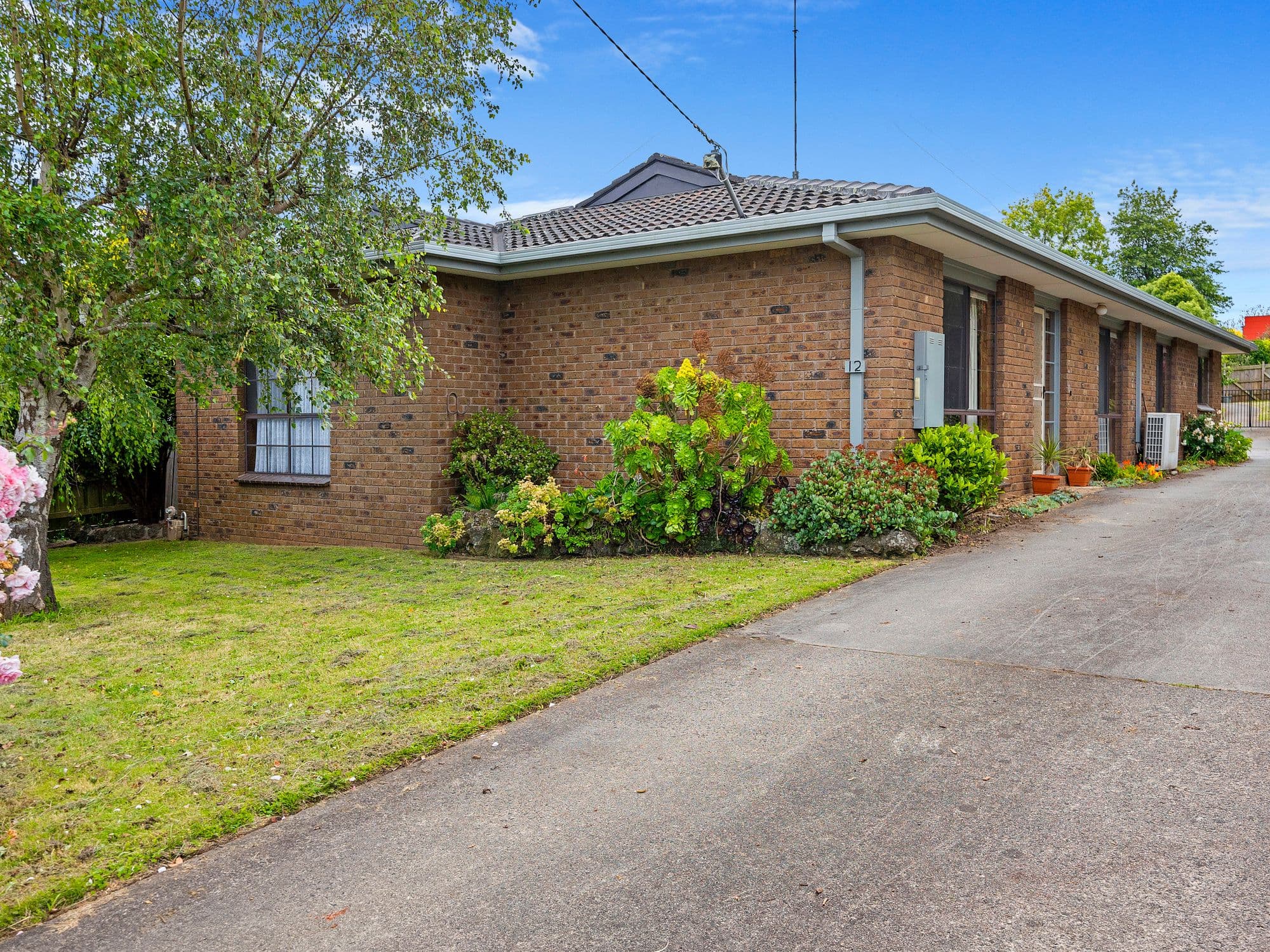 12 Young Street, Leongatha VIC 3953, Leongatha - Thumbnail 2