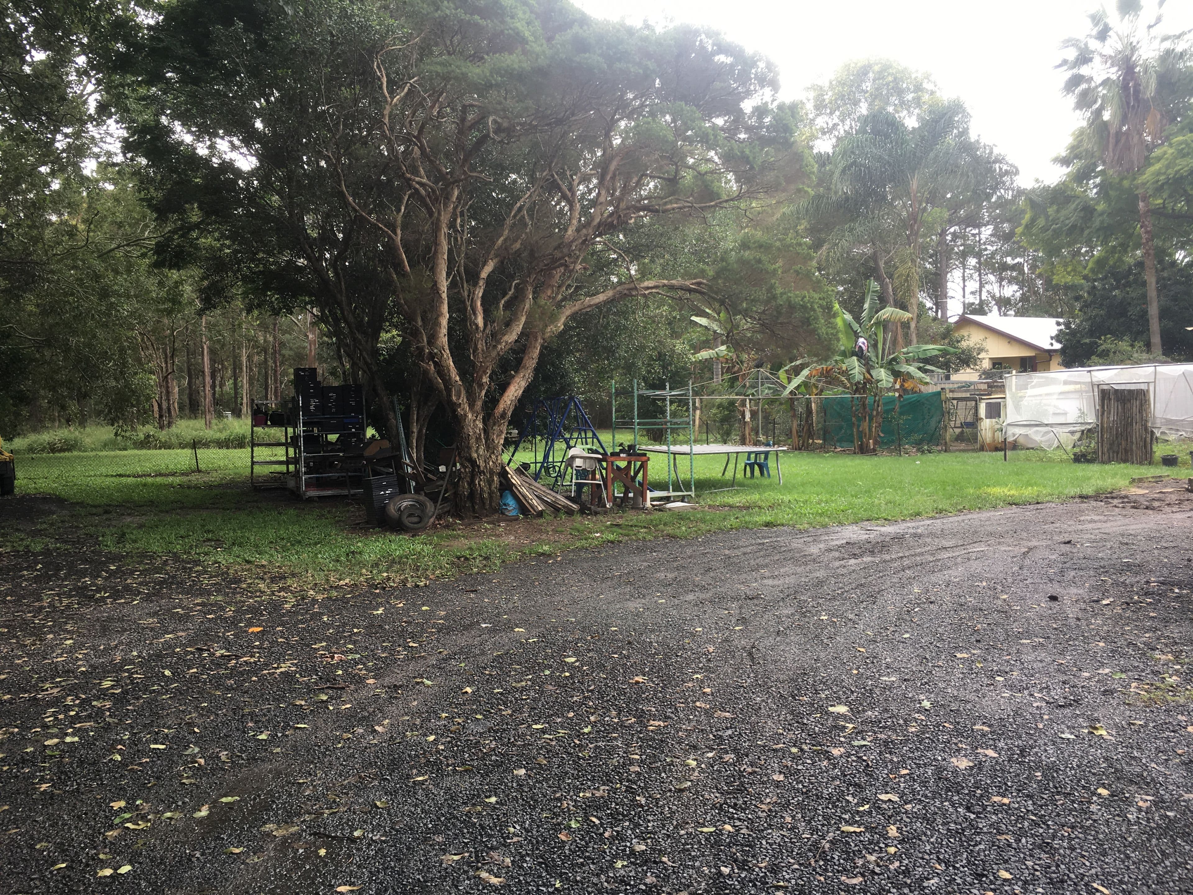 20 Tallon Street, Caboolture QLD 4510, Caboolture - Thumbnail 3