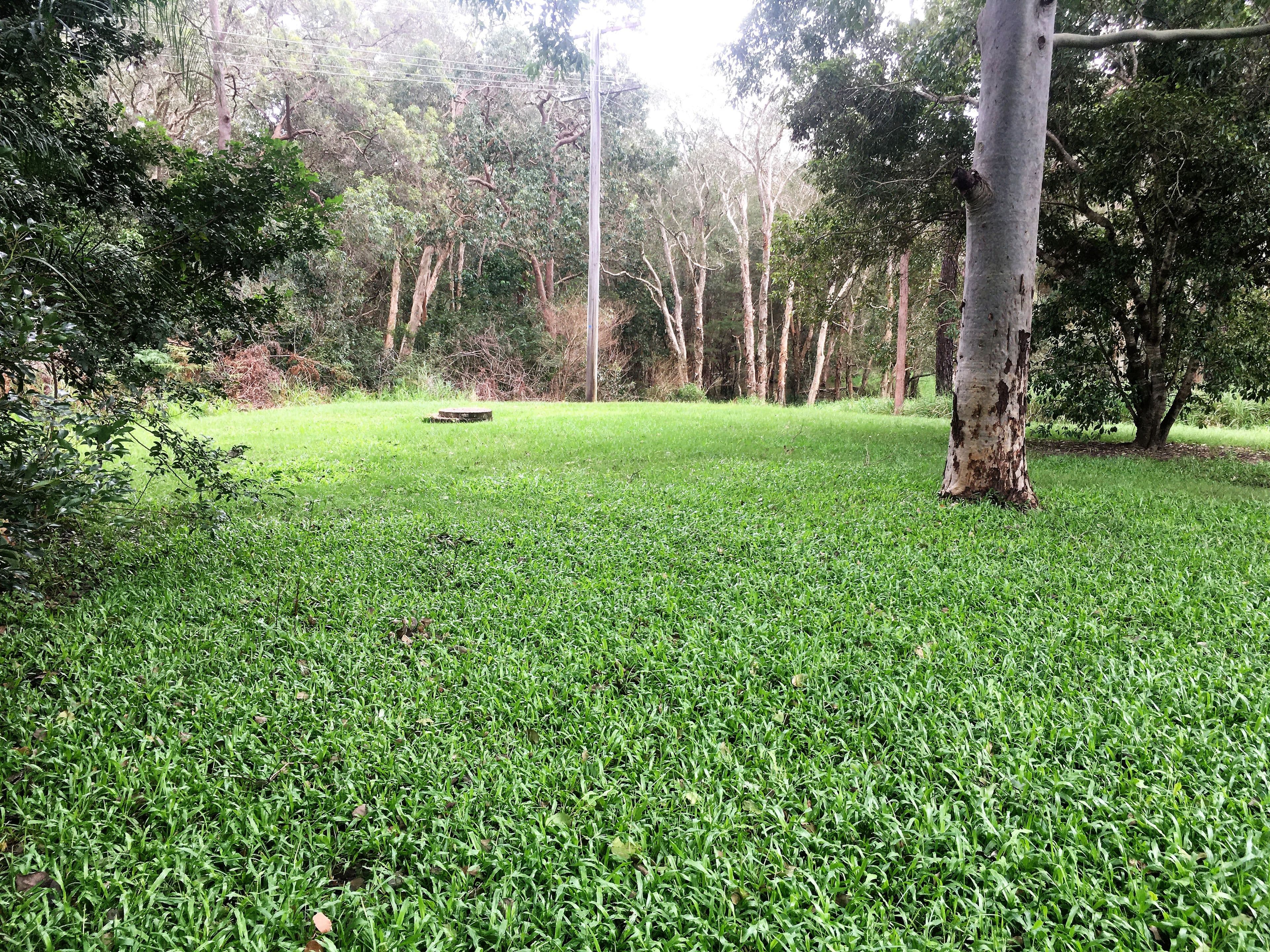 20 Tallon Street, Caboolture QLD 4510, Caboolture - Thumbnail 4