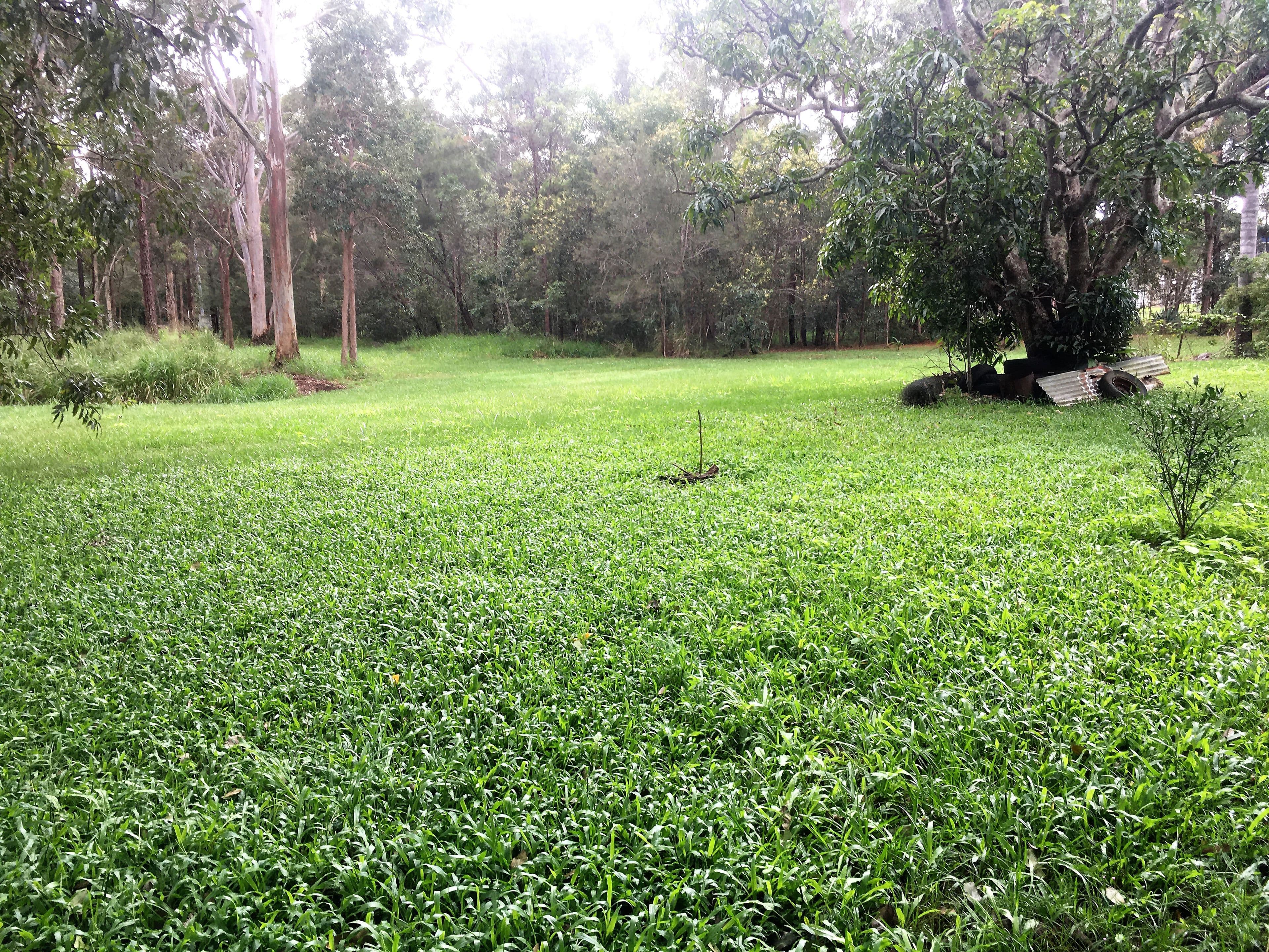 20 Tallon Street, Caboolture QLD 4510, Caboolture - Thumbnail 5
