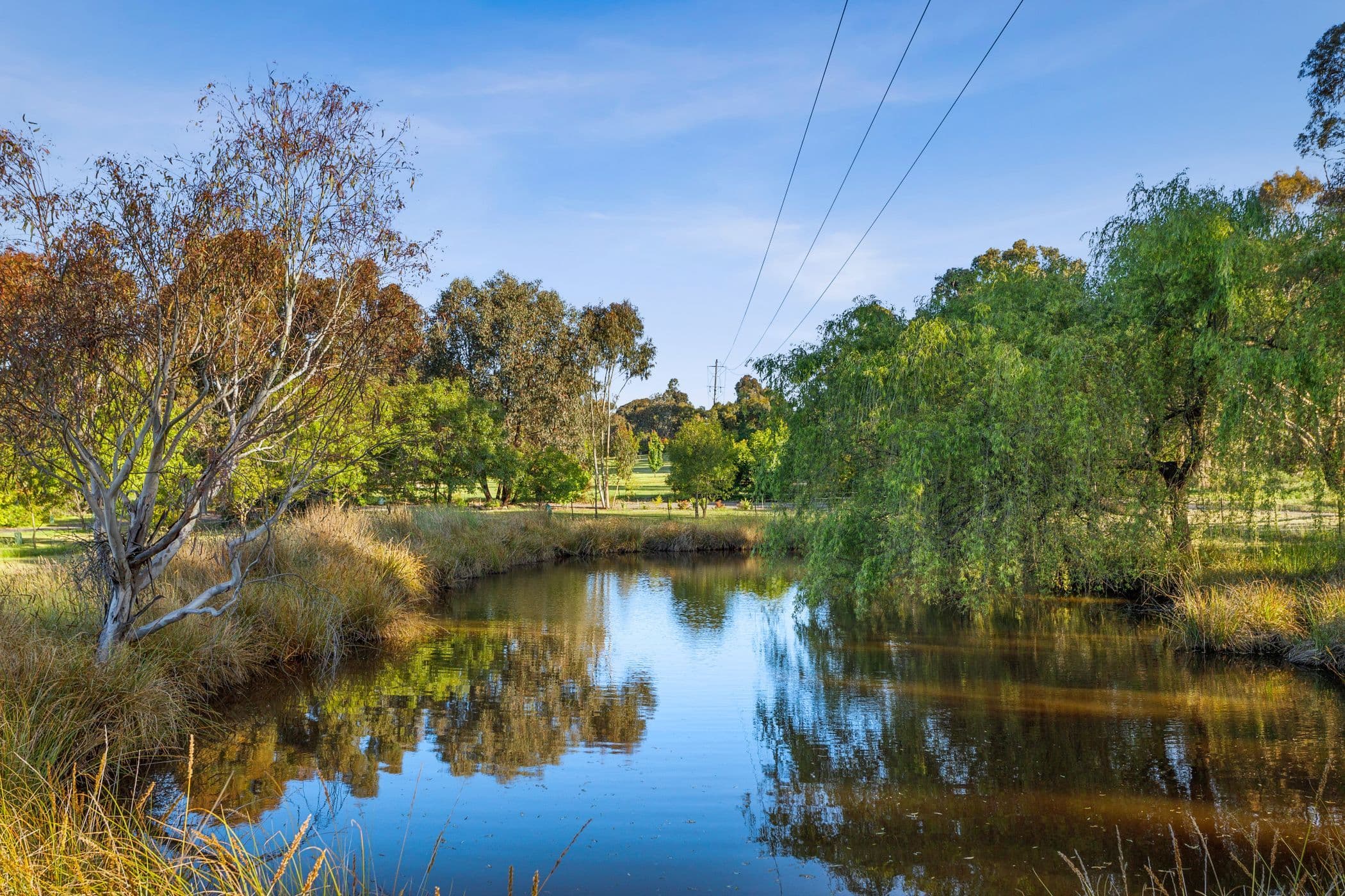1954 Calder Highway, Taradale VIC 3447, Taradale - Thumbnail 4