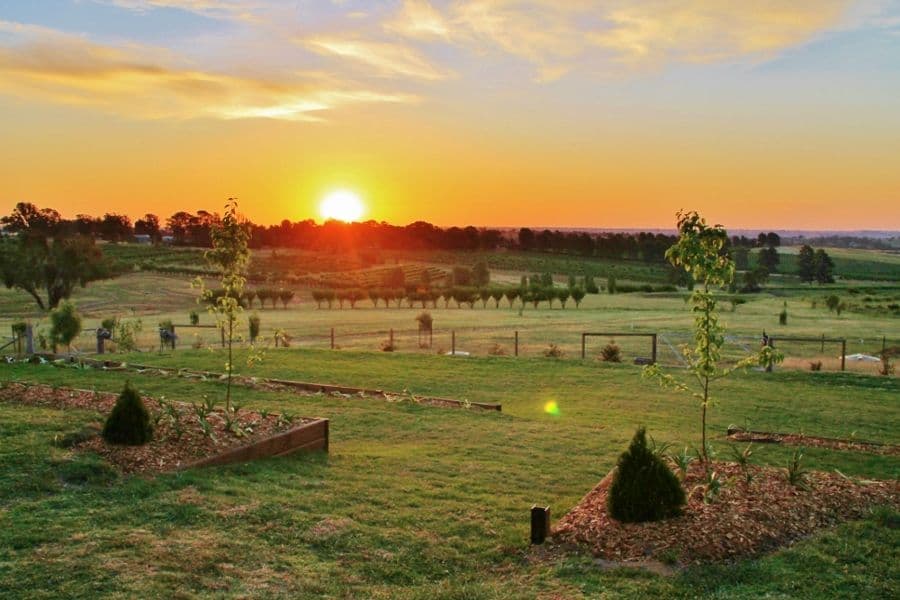 33 Old Monteagle Road, YOUNG NSW 2594, Young - Thumbnail 4