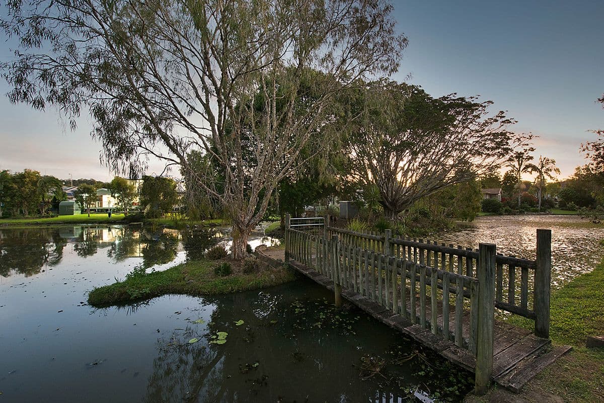 69 Palmwoods School Road, Palmwoods QLD 4555, Palmwoods - Thumbnail 5