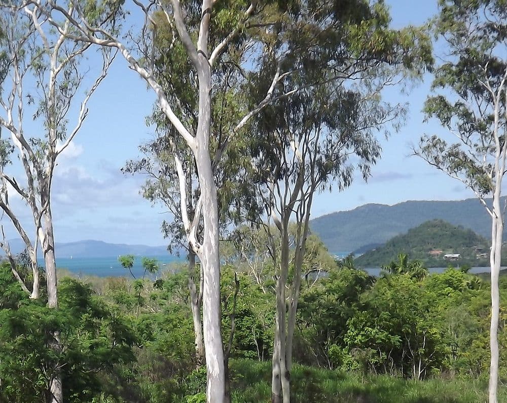 108 Tucker Road, RIORDANVALE QLD 4800, Riordanvale - Thumbnail 2