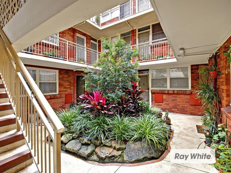 117 Denison Road, DULWICH HILL NSW 2203, Dulwich Hill - Thumbnail 5