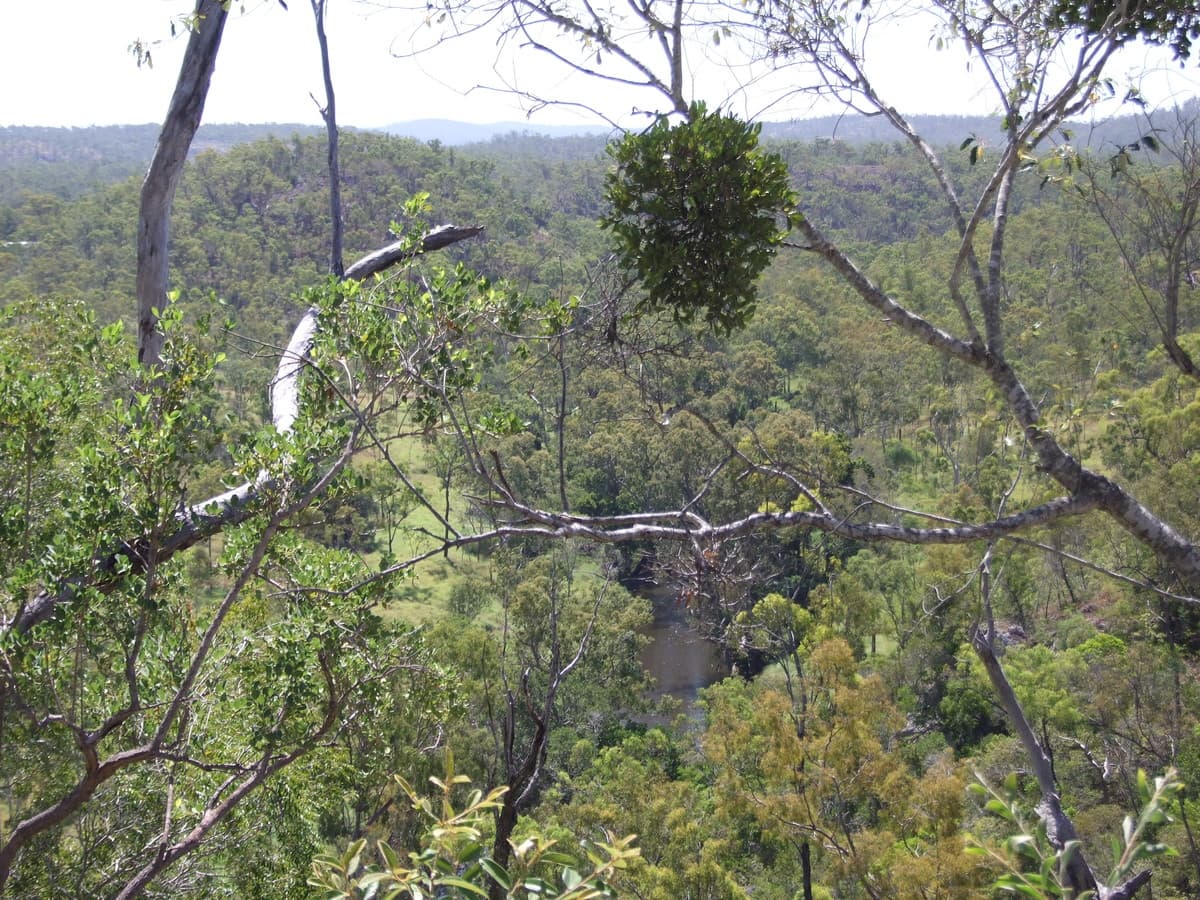 Lot 4 Benedict Road, Stanwell QLD, Stanwell - Thumbnail 2