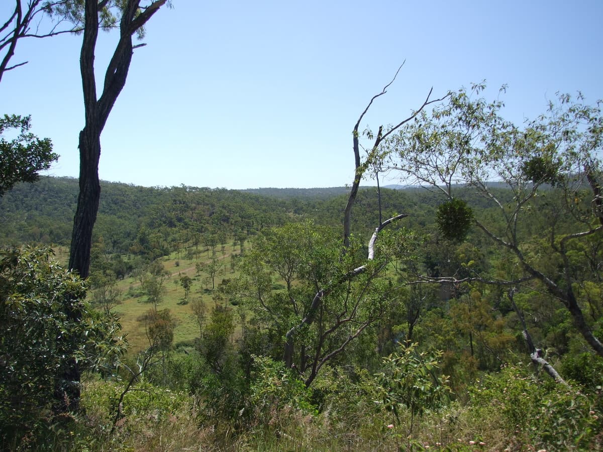 Lot 4 Benedict Road, Stanwell QLD, Stanwell - Thumbnail 3