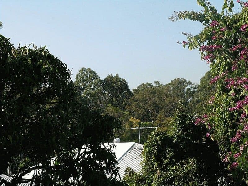 17 Gavan Street, ASHGROVE QLD 4060, Ashgrove - Thumbnail 2